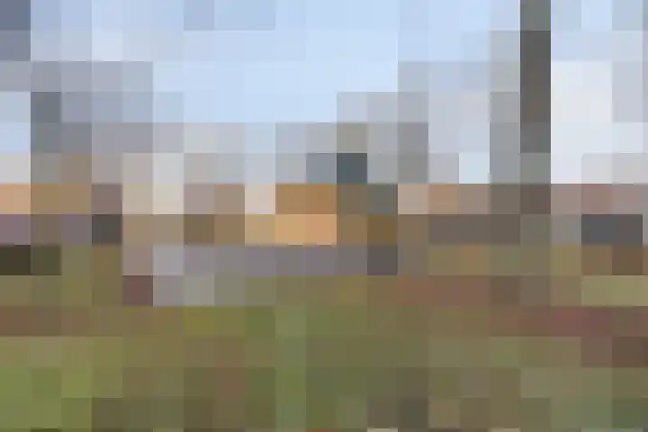 Maria Koijenhof 43 Breda thumbnail 34