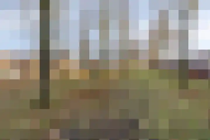 Maria Koijenhof 43 Breda thumbnail 35