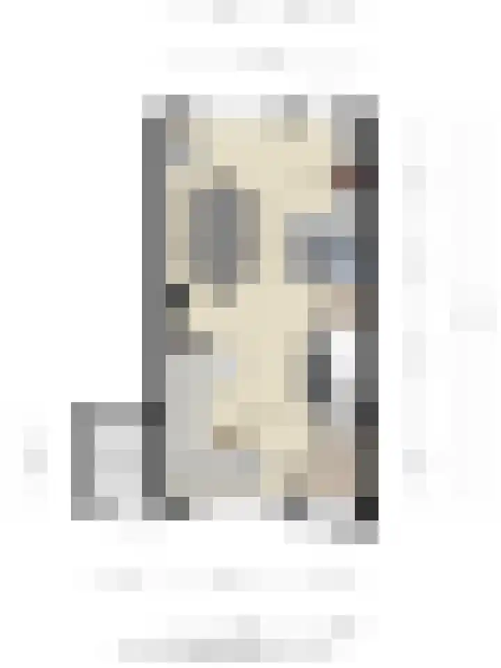 Maria Koijenhof 43 Breda thumbnail 36