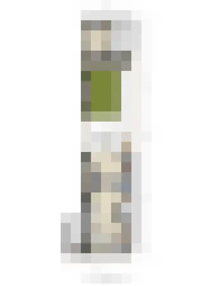 Maria Koijenhof 43 Breda thumbnail 37