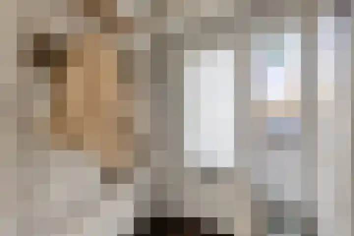 Maria Koijenhof 43 Breda thumbnail 4