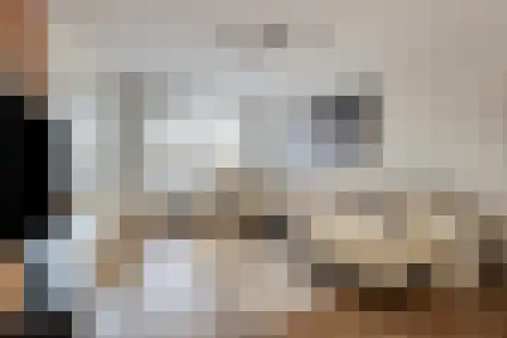 Maria Koijenhof 43 Breda thumbnail 6