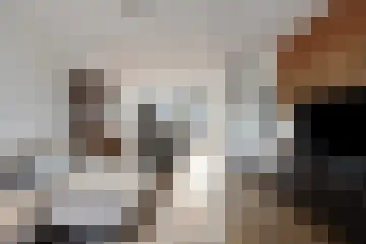 Maria Koijenhof 43 Breda thumbnail 7