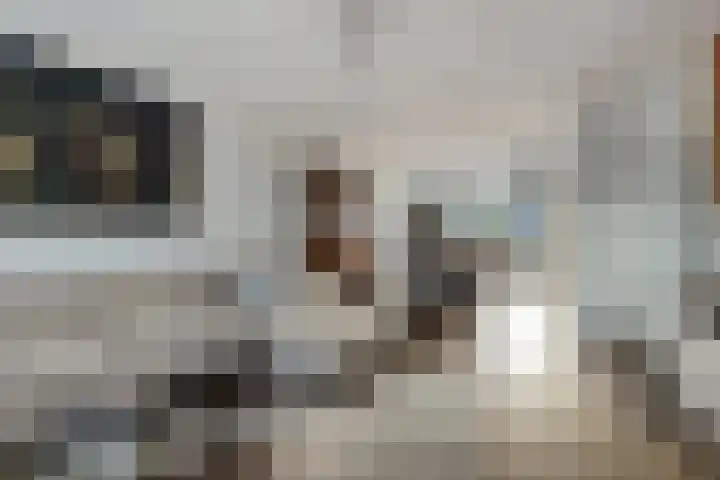 Maria Koijenhof 43 Breda thumbnail 8