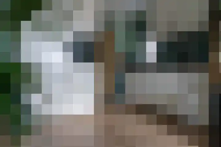 Maria Koijenhof 5 Breda thumbnail 12
