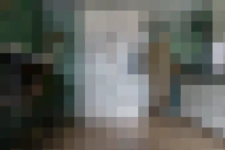 Maria Koijenhof 5 Breda thumbnail 13