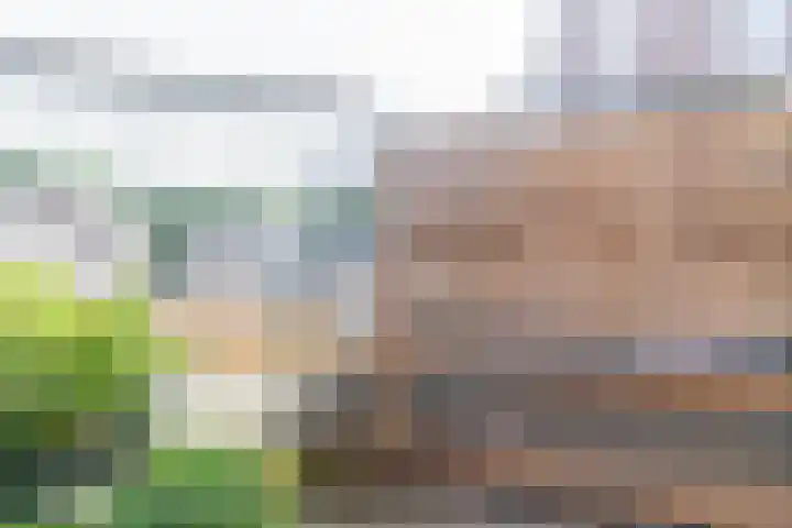 Maria Koijenhof 5 Breda thumbnail 18
