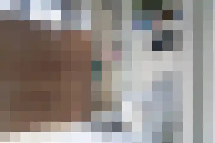 Maria Koijenhof 5 Breda thumbnail 22