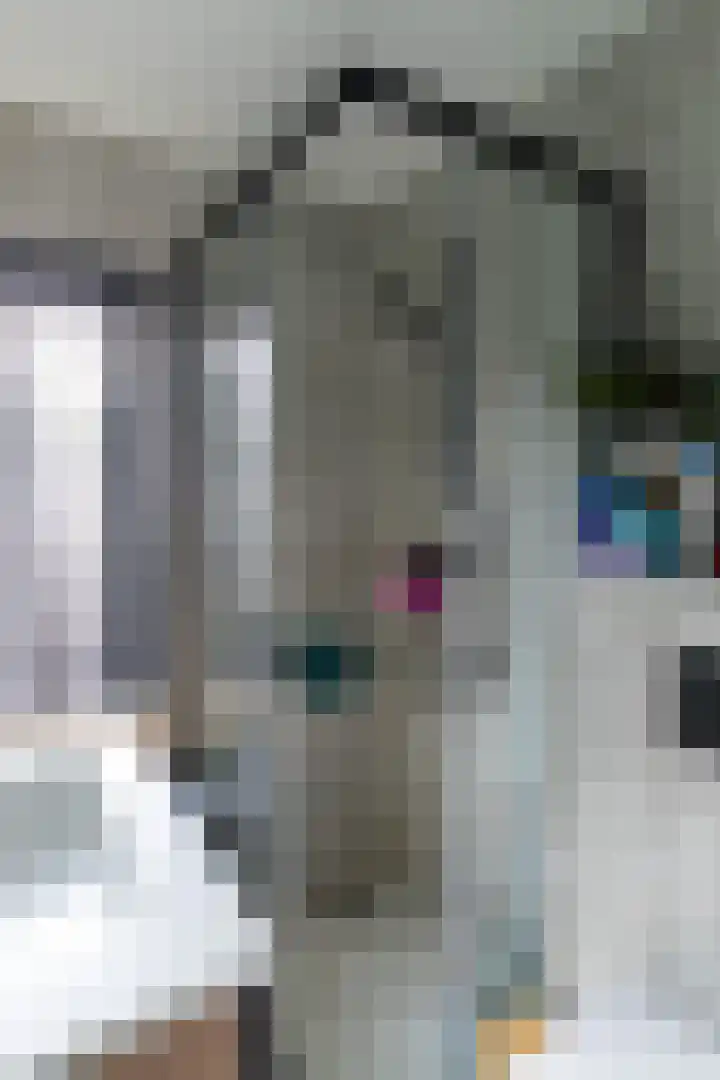 Maria Koijenhof 5 Breda thumbnail 23