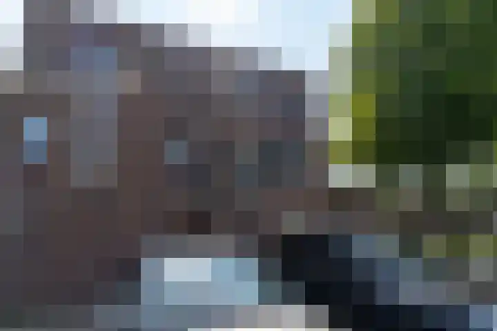 Maria Koijenhof 5 Breda thumbnail 30