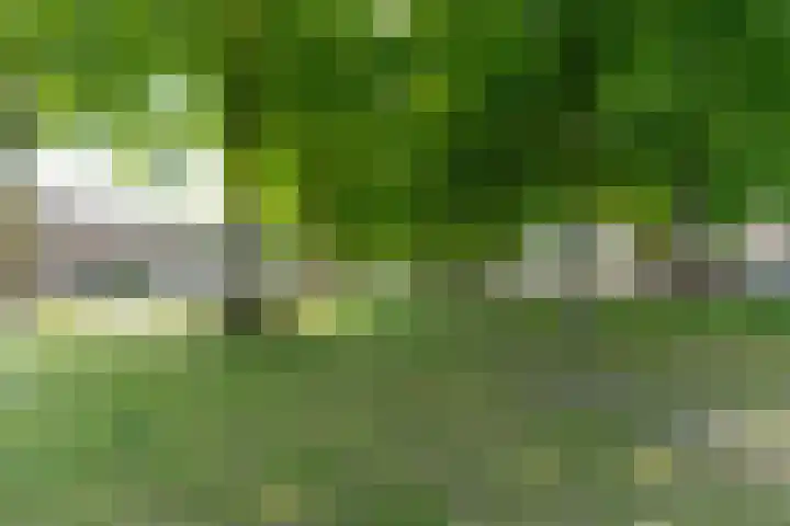 Maria Koijenhof 5 Breda thumbnail 33