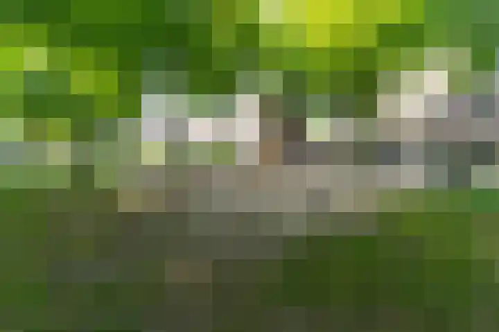 Maria Koijenhof 5 Breda thumbnail 34