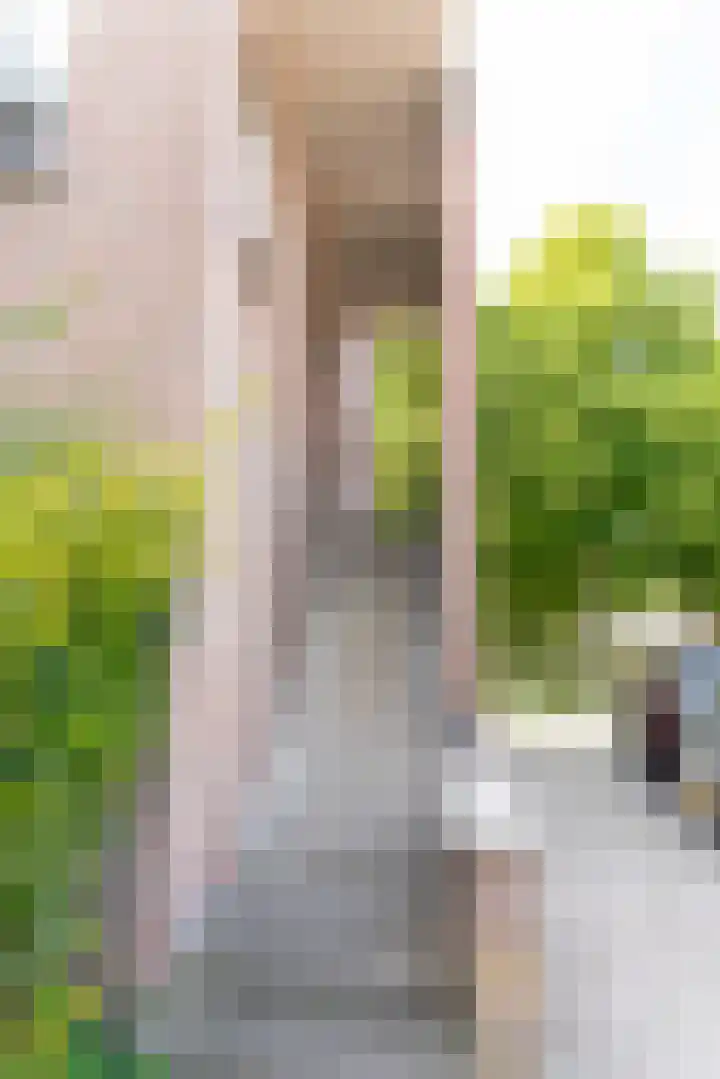 Maria Koijenhof 5 Breda thumbnail 4