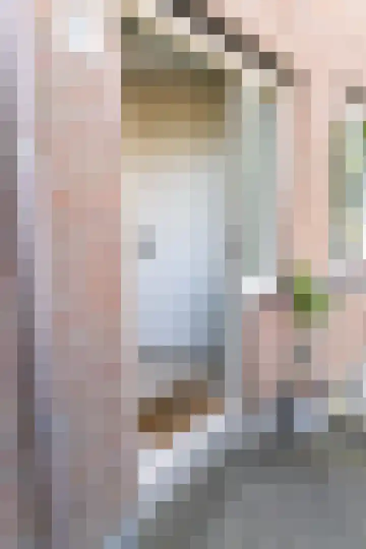 Maria Koijenhof 5 Breda thumbnail 5