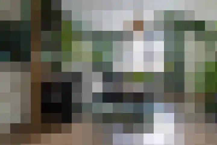 Maria Koijenhof 5 Breda thumbnail 7