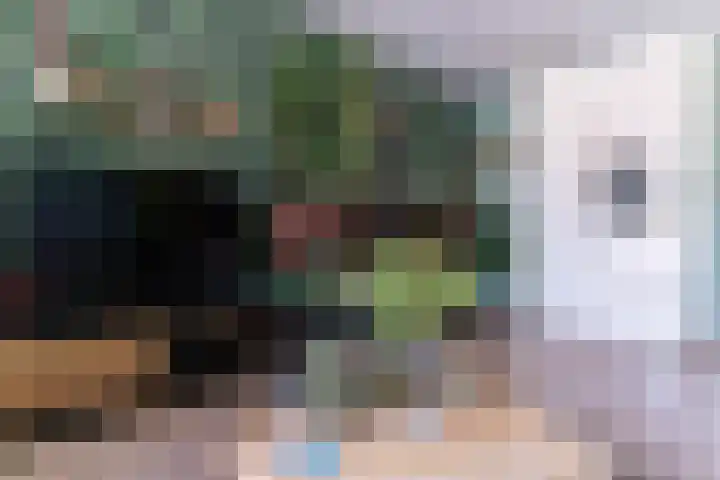 Maria Koijenhof 5 Breda thumbnail 8