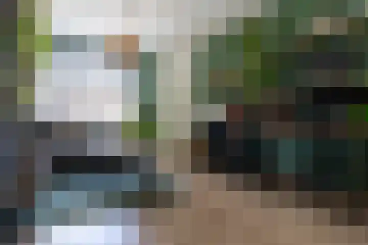 Maria Koijenhof 5 Breda thumbnail 9