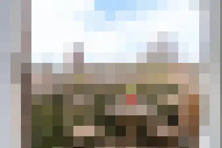Maria Koijenhof 67 Breda thumbnail 12