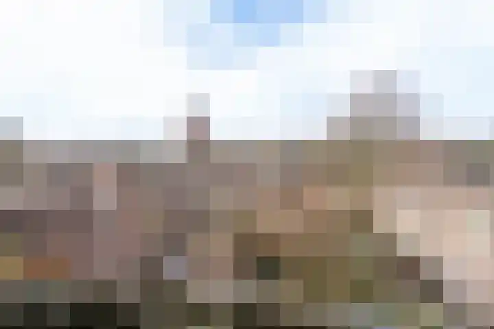 Maria Koijenhof 67 Breda thumbnail 13