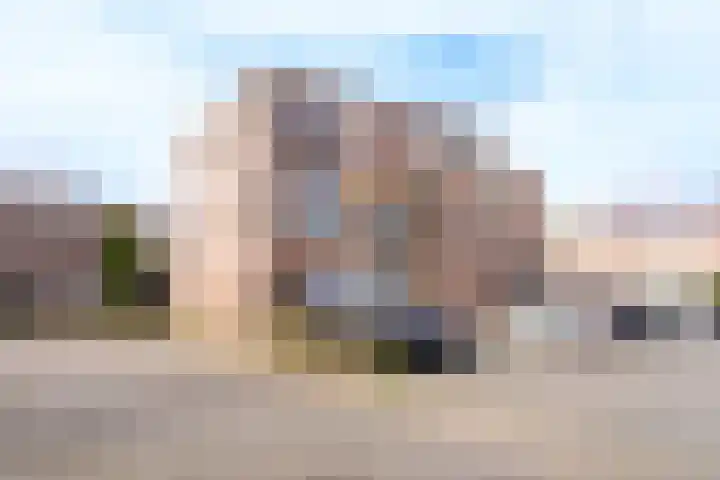 Maria Koijenhof 67 Breda thumbnail 16