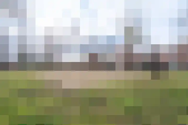Maria Koijenhof 67 Breda thumbnail 17