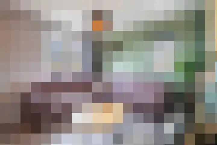 Maria Koijenhof 67 Breda thumbnail 4