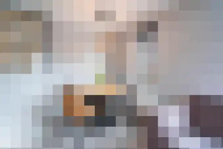 Maria Koijenhof 67 Breda thumbnail 5