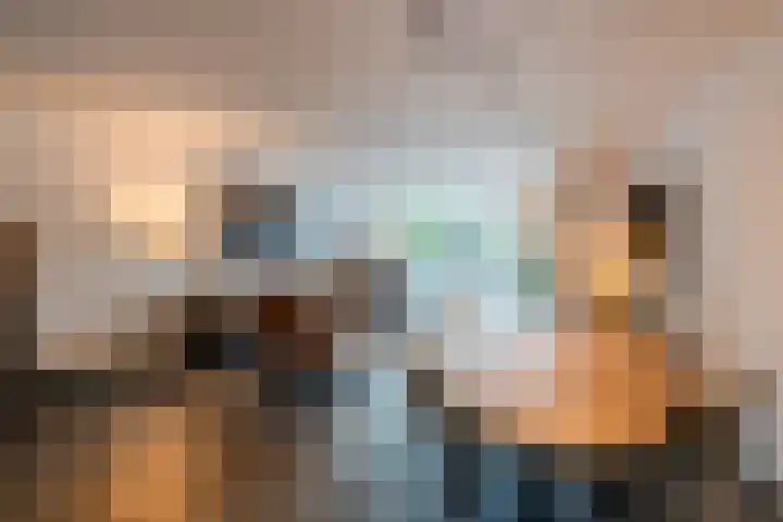 Maria Lécinastraat 16 Oosterhout thumbnail 5