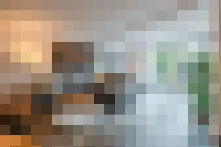 Maria Lécinastraat 16 Oosterhout thumbnail 6