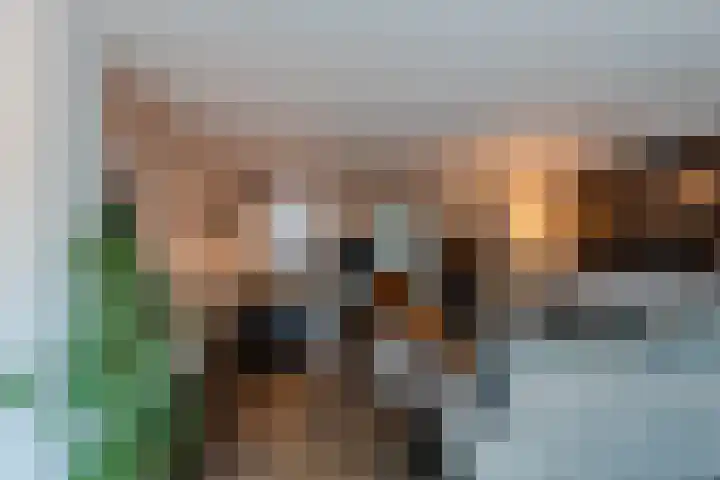 Maria Lécinastraat 16 Oosterhout thumbnail 8