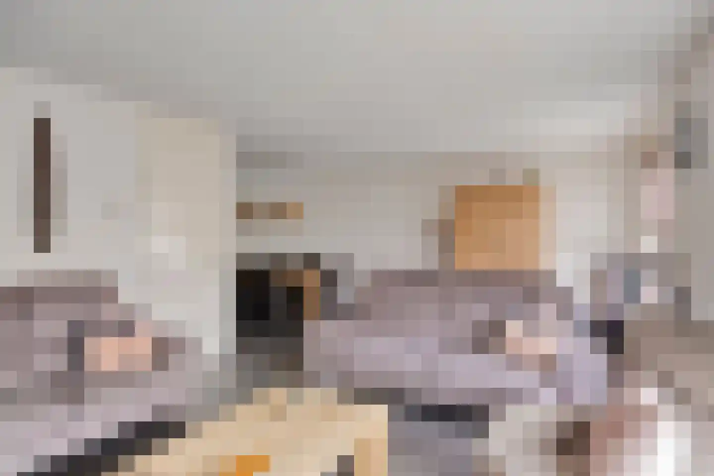 Maria Lécinastraat 7 Oosterhout thumbnail 4