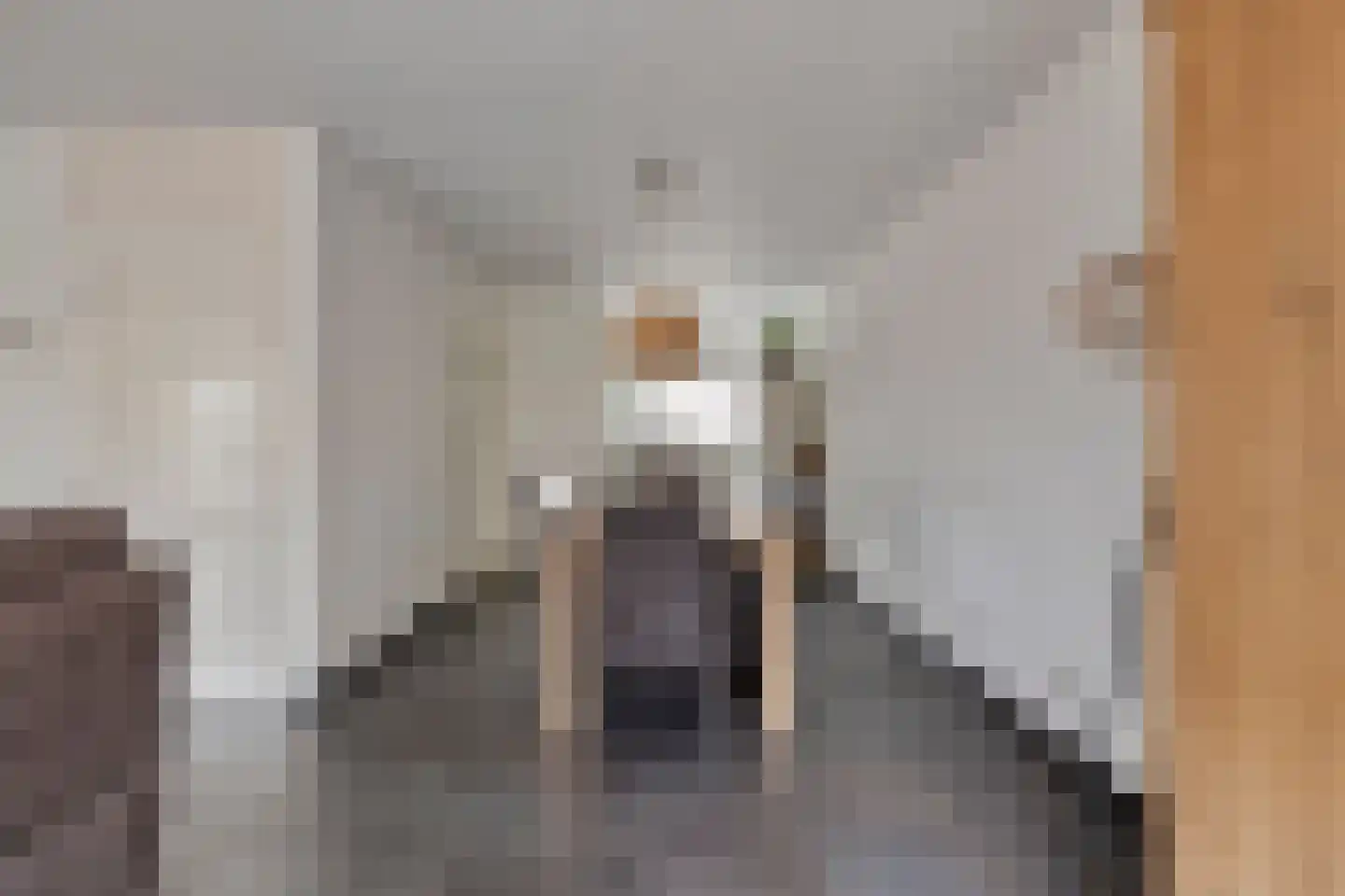 Maria Lécinastraat 7 Oosterhout thumbnail 5