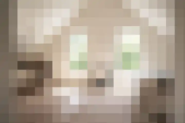 Maria Louiselaan 2 b Overveen thumbnail 22