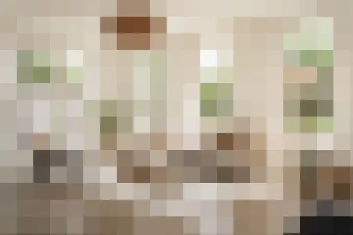 Maria Louiselaan 2 b Overveen thumbnail 5