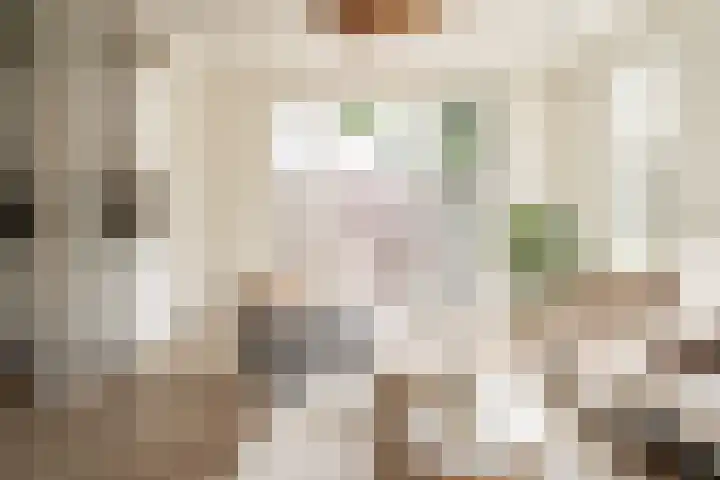 Maria Louiselaan 2 b Overveen thumbnail 7