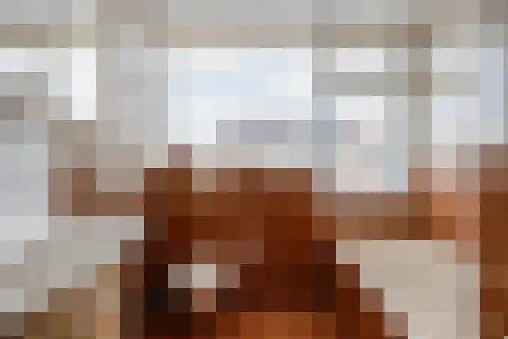 Maria Louiselaan 24 Lopik thumbnail 26
