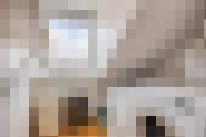 Maria Louiselaan 24 Lopik thumbnail 30