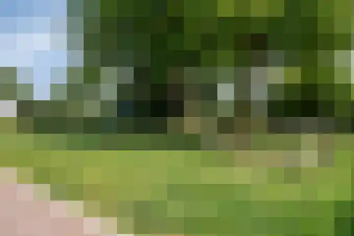 Maria Louiselaan 24 Lopik thumbnail 34