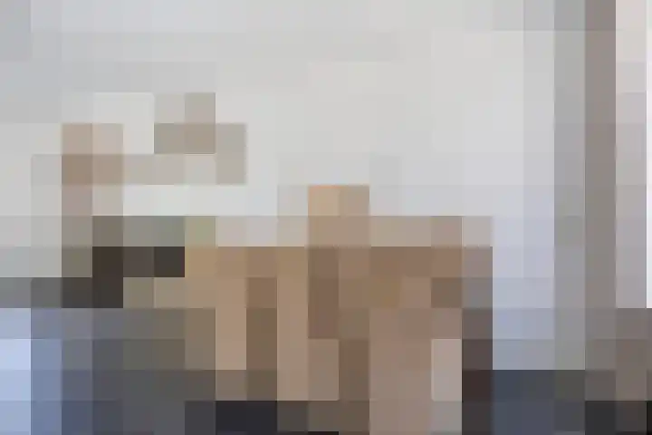 Maria Louiselaan 24 Lopik thumbnail 4