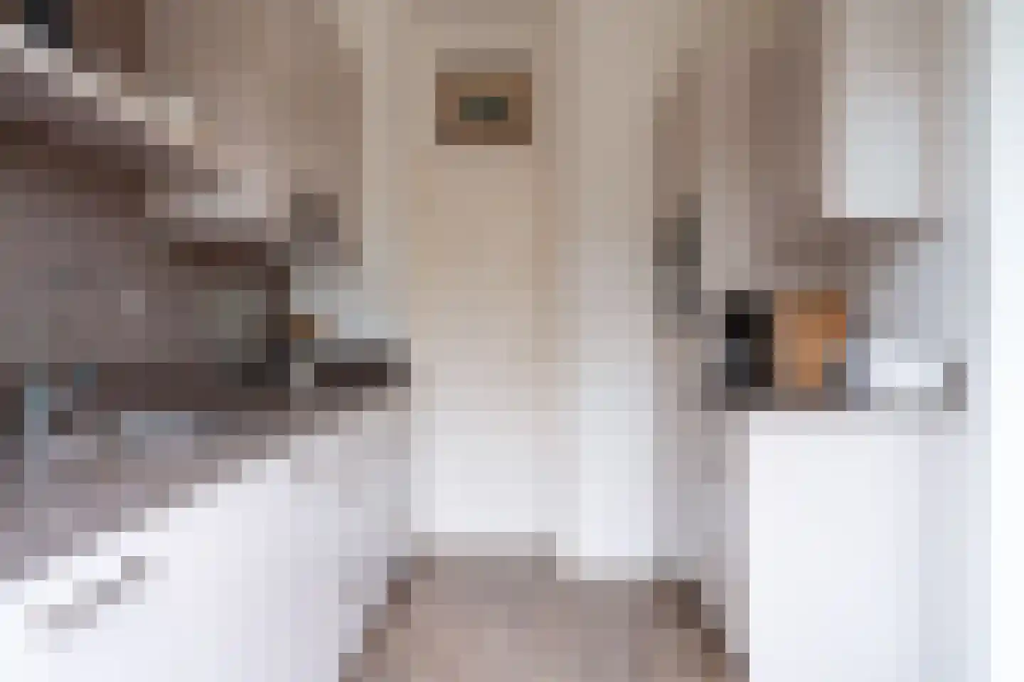 Maria Louiselaan 4 Lopik thumbnail 20