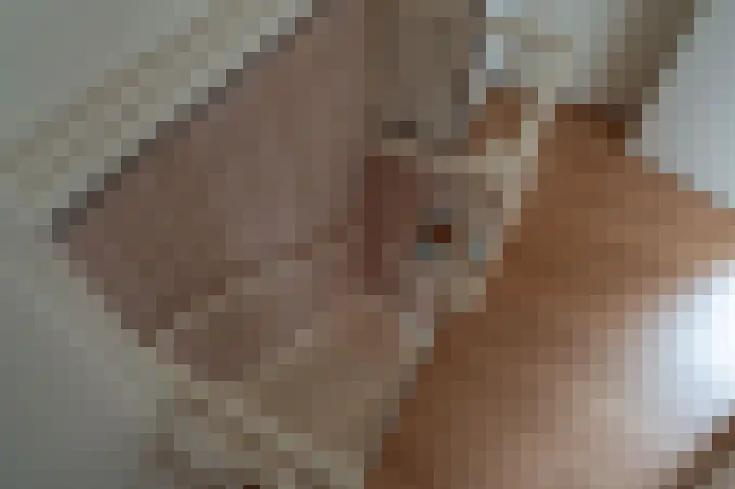 Maria Louiselaan 4 Lopik thumbnail 38
