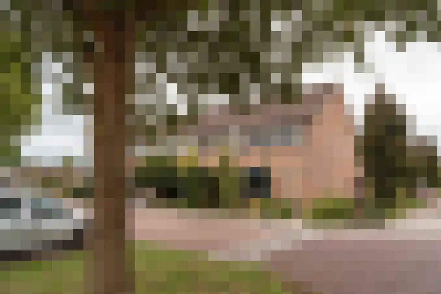 Maria Louiselaan 4 Lopik thumbnail 66