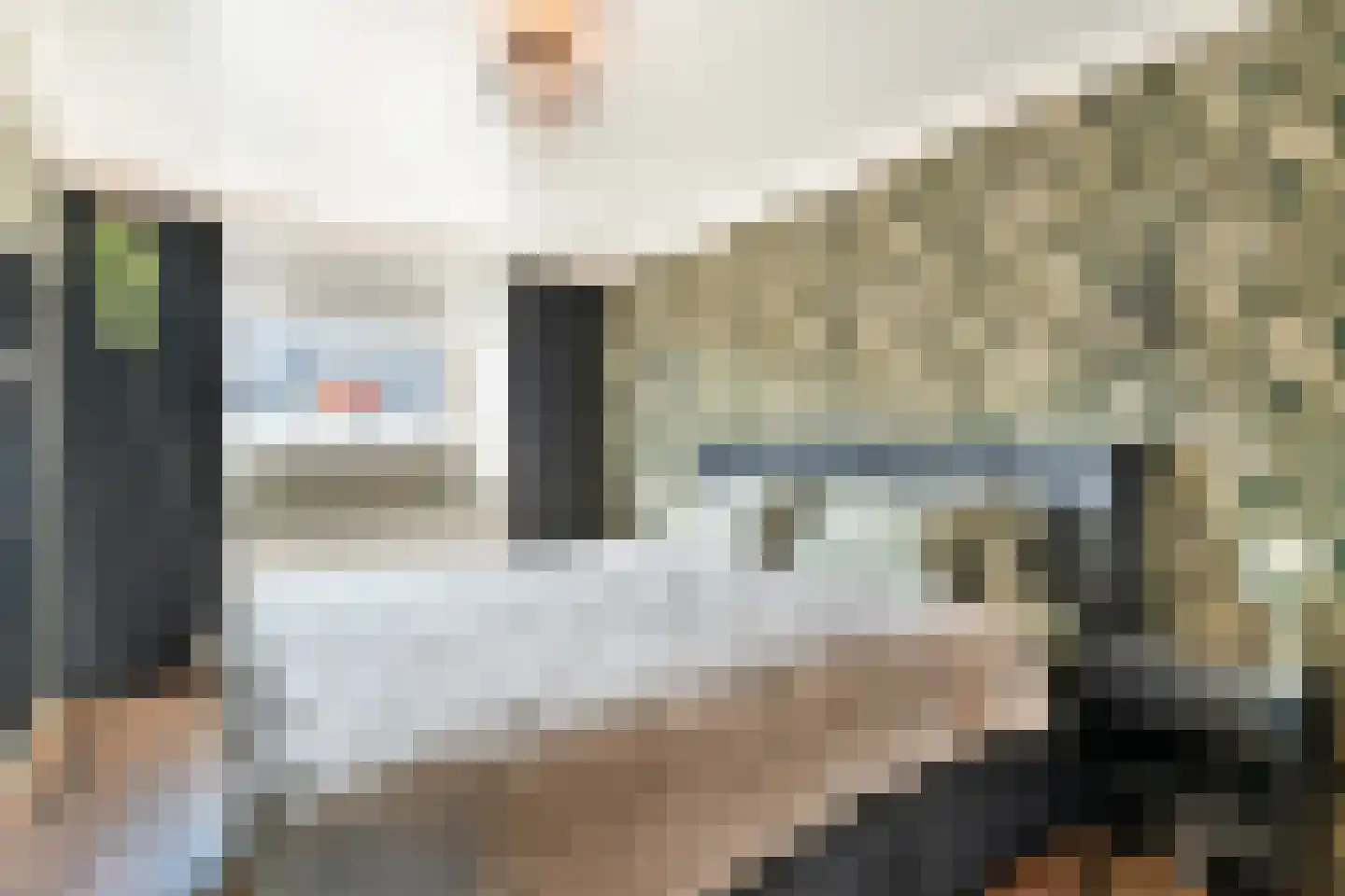 Maria Louiselaan 6 Lopik thumbnail 18