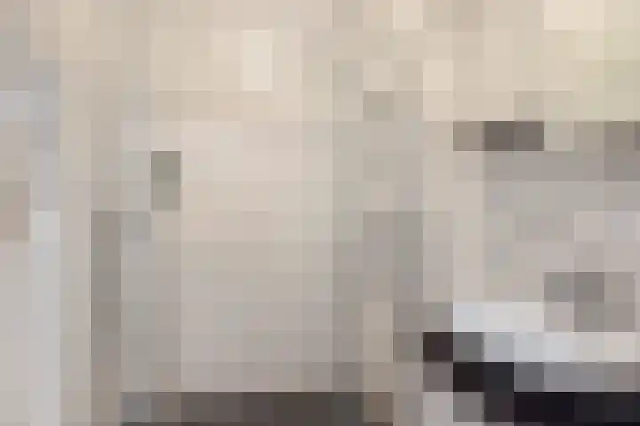 Maria Louiseloane 3 Kootstertille thumbnail 15