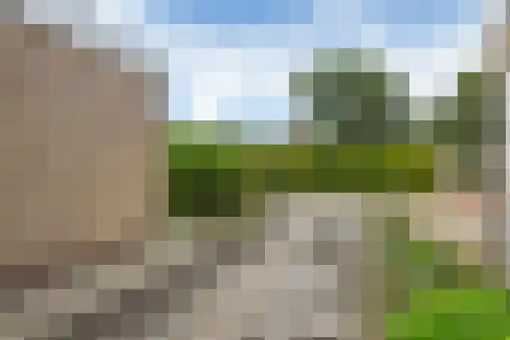 Maria Louiseloane 3 Kootstertille thumbnail 36