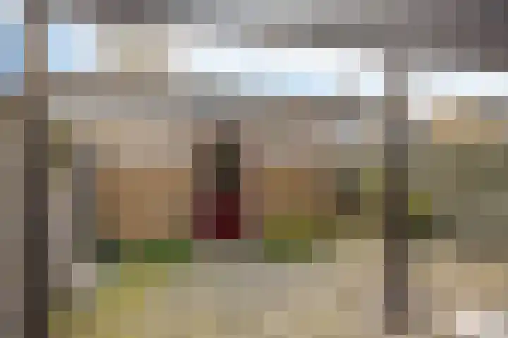 Maria Louisestraat 3 Joure thumbnail 18