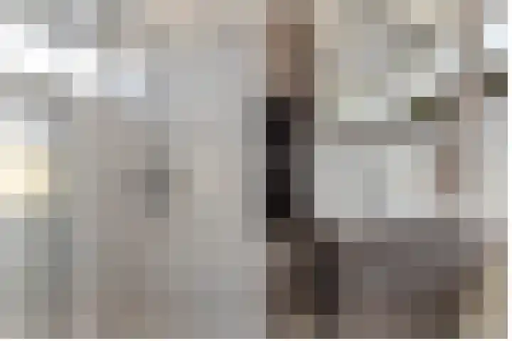 Maria Louisestraat 3 Joure thumbnail 31
