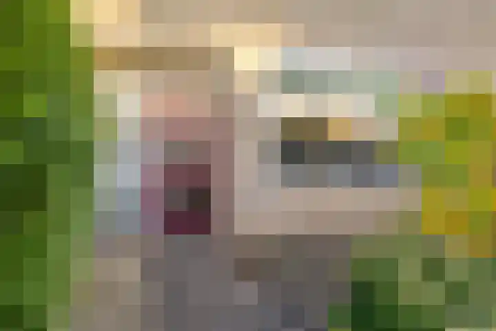 Maria Louisestraat 3 Joure thumbnail 5