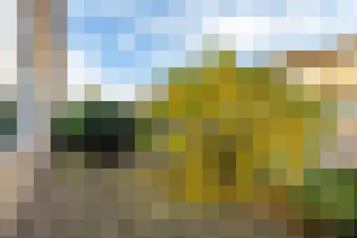Maria Louisestraat 3 Joure thumbnail 7