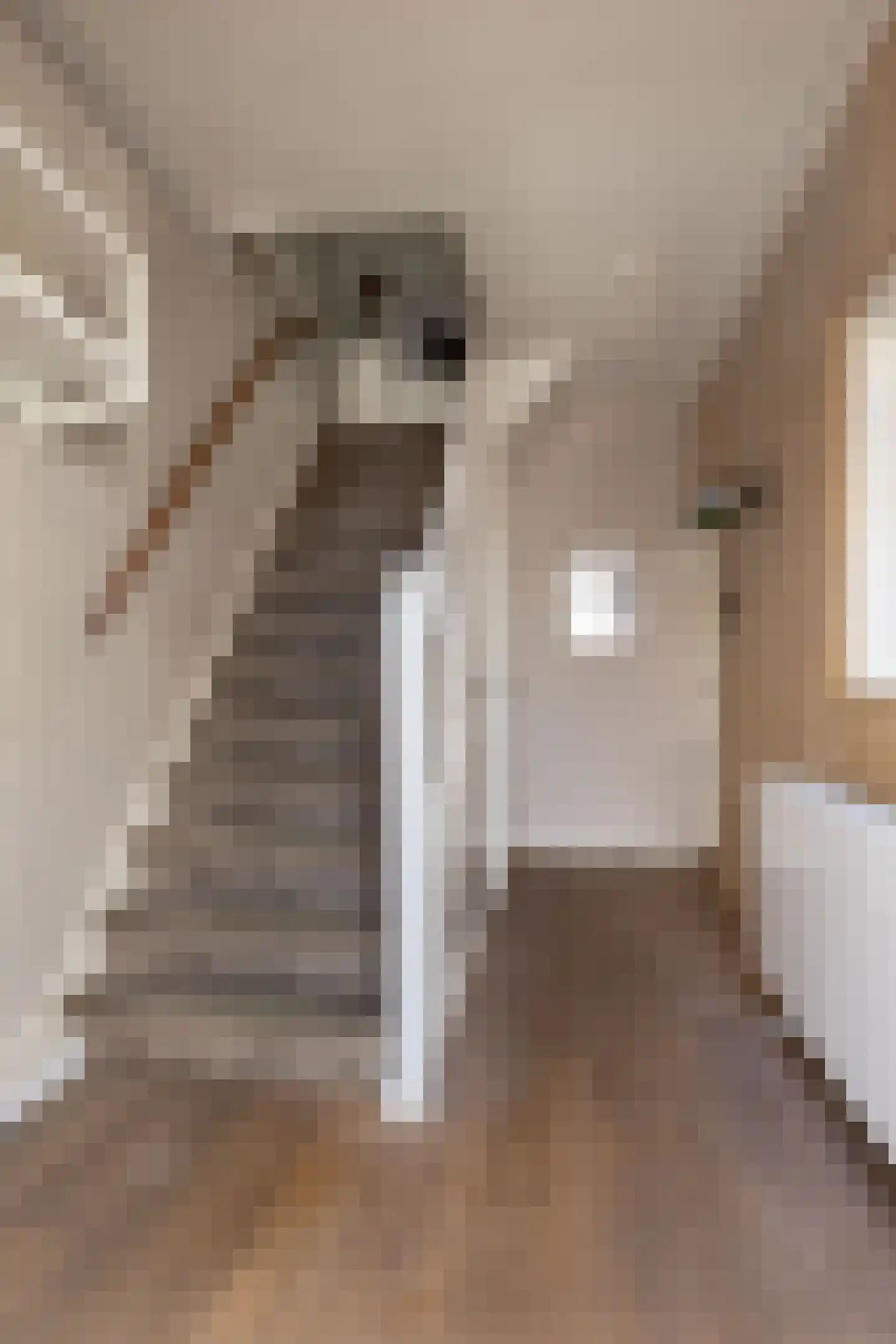 Maria Louisestraat 8 Sneek thumbnail 12